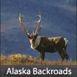 Alaska Backroads Tour